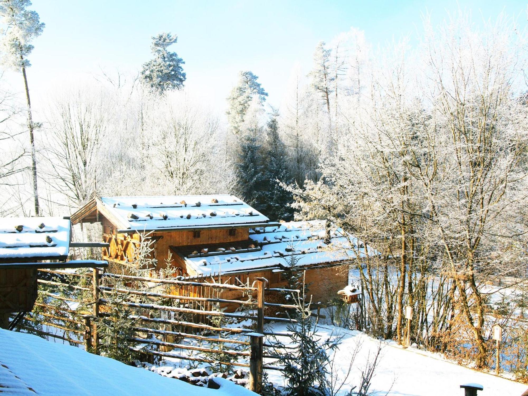 Eco Friendly Chalet Near The Lake In Asten 티트모닝 외부 사진